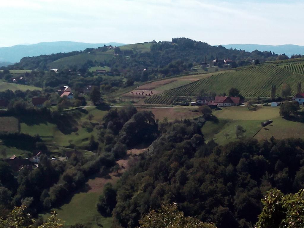 Gaestehaus Grasch Kitzeck im Sausal Exterior foto